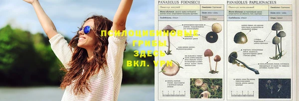 кокс Армянск