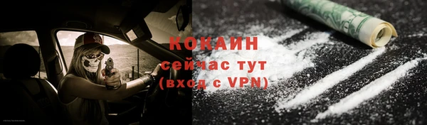 стафф Арсеньев