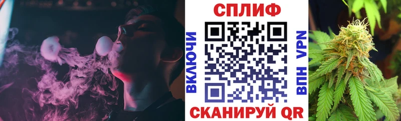 купить Кирово-Чепецк mega онион Канабис Amnesia